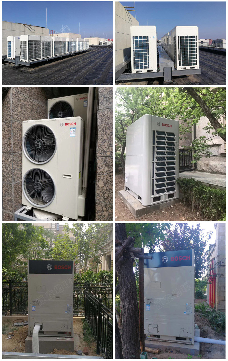 1-1Z6100P4251B.jpg